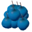 Blueberries