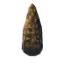 Fir cone