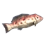 Grouper